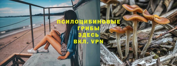 гашиш Алексин