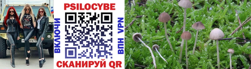 Псилоцибиновые грибы Psilocybine cubensis  Лобня 